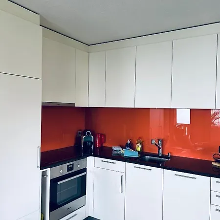 Steinbock 2og - Charmingstay 公寓