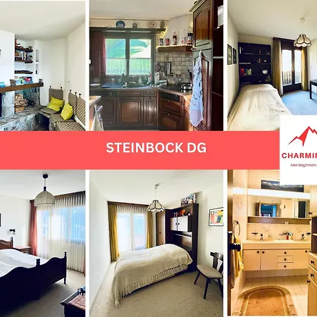 Steinbock - Charmingstay